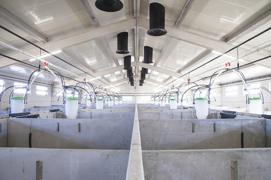 EPS panel system for modular and farm buildings